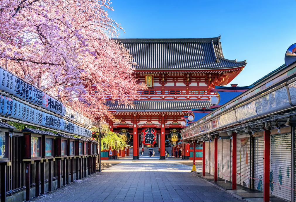 Asian Wonders